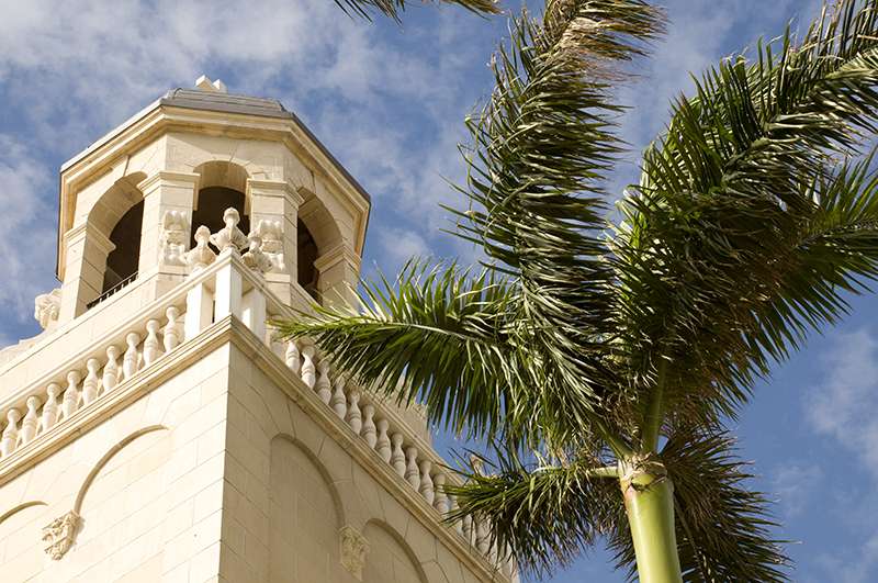 Church and Palm Tree