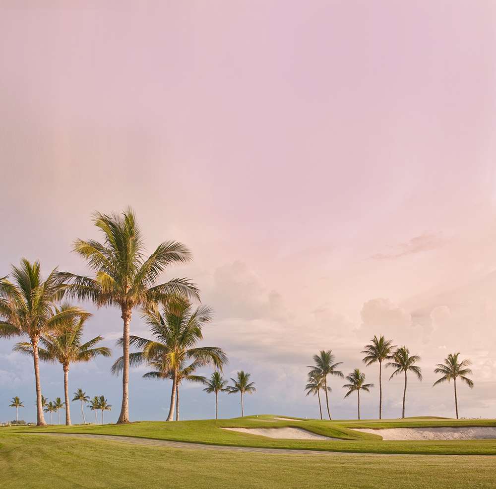 Golf course sunset with tropical palm trees